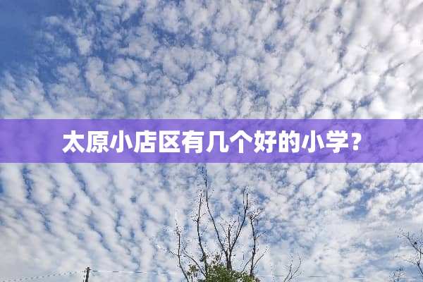 太原小店区有几个好的小学？