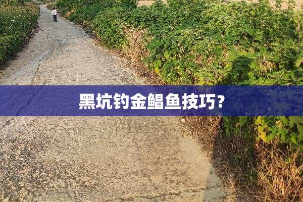 黑坑钓金鲳鱼技巧？