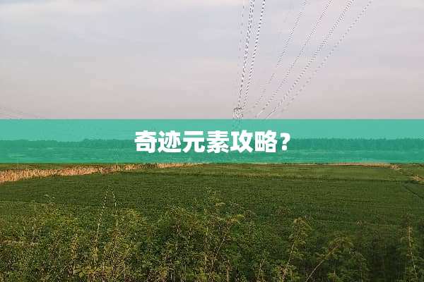 奇迹元素攻略？