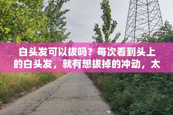 白头发可以拔吗？每次看到头上的白头发，就有想拔掉的冲动，太碍眼了？