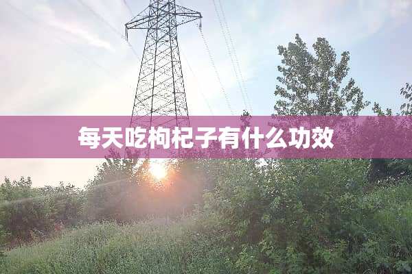 每天吃枸杞子有什么功效