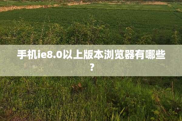 手机ie8.0以上版本浏览器有哪些？