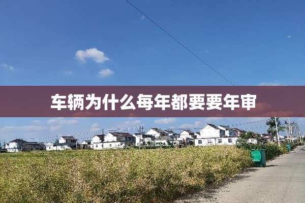 车辆为什么每年都要要年审