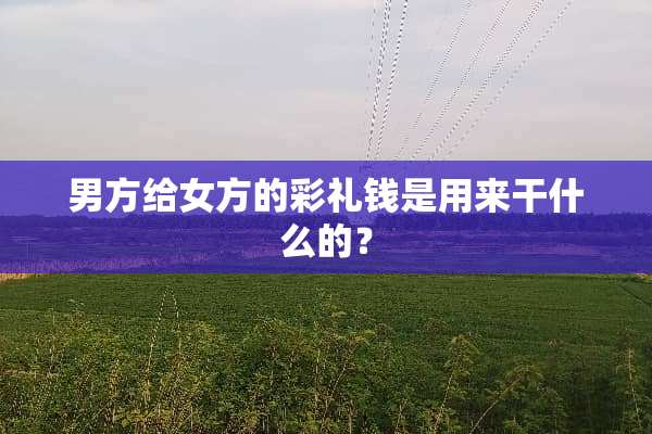 男方给女方的彩礼钱是用来干什么的？