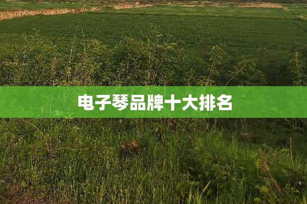 电子琴品牌十大排名