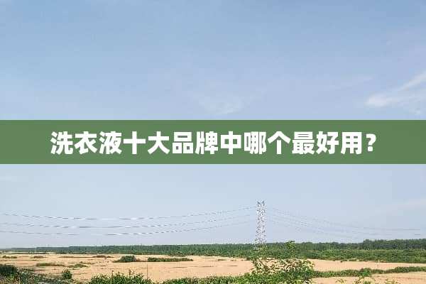 洗衣液十大品牌中哪个最好用？