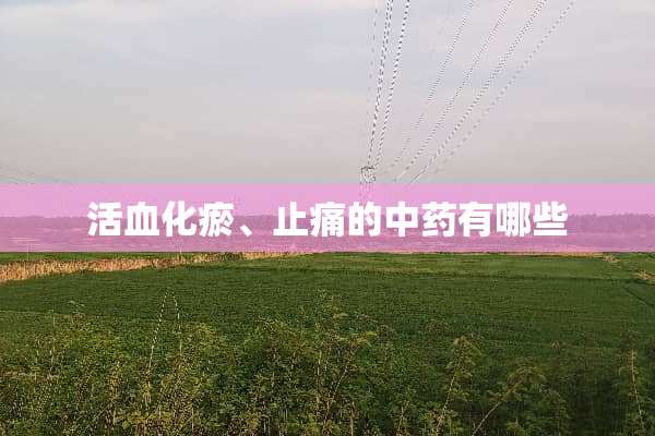 活血化瘀、止痛的中药有哪些