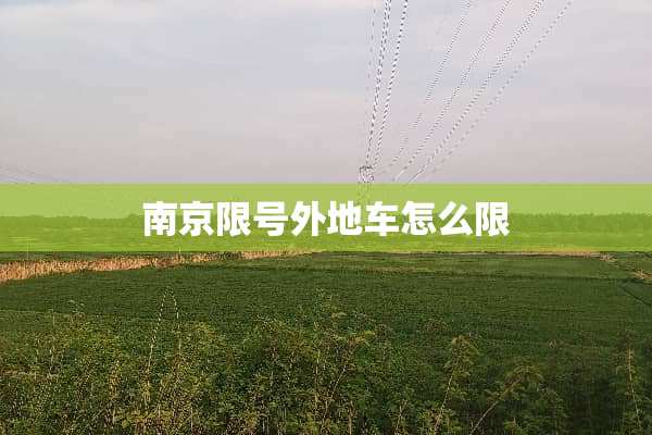南京限号外地车怎么限