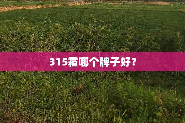 315霜哪个牌子好？