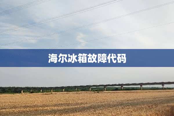 海尔冰箱故障代码