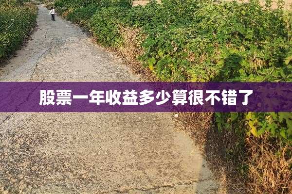 股票一年收益多少算很不错了