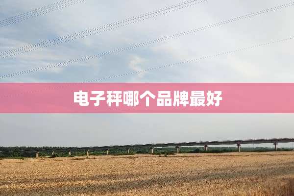 电子秤哪个品牌最好