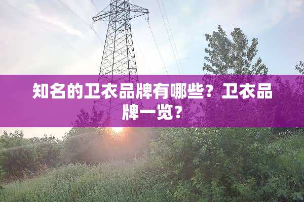 知名的卫衣品牌有哪些？卫衣品牌一览？