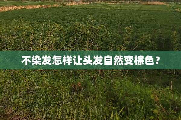 不染发怎样让头发自然变棕色？