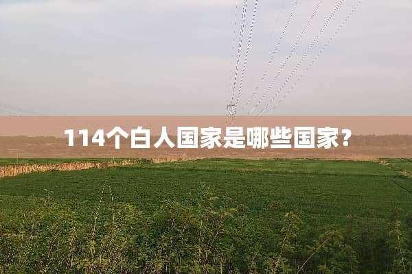 114个白人国家是哪些国家？