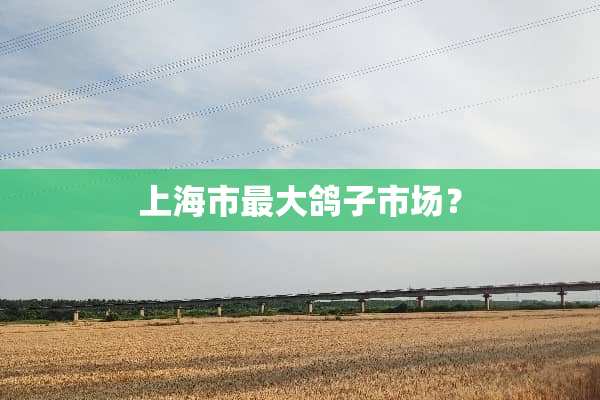上海市最大鸽子市场？