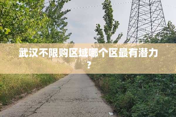 武汉不限购区域哪个区最有潜力？
