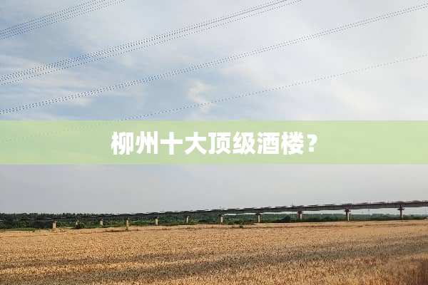 柳州十大**酒楼？