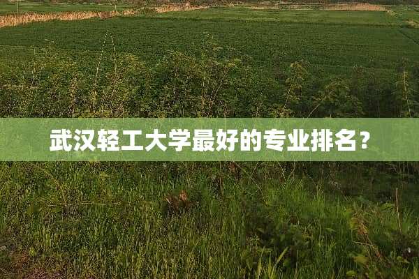 武汉轻工大学最好的专业排名？