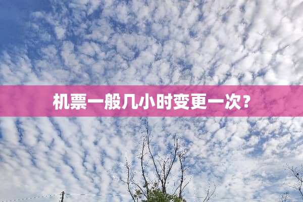机票一般几小时变更一次？