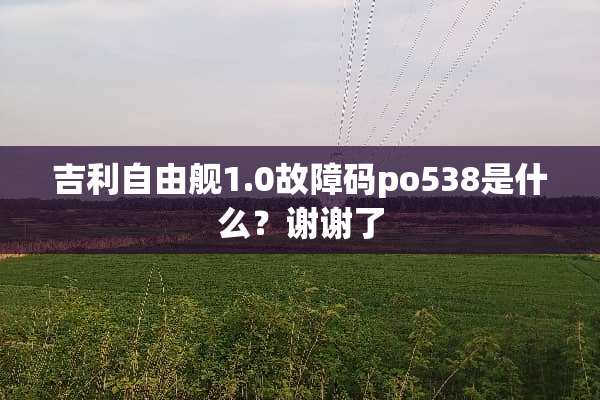 吉利自由舰1.0故障码po538是什么？谢谢了