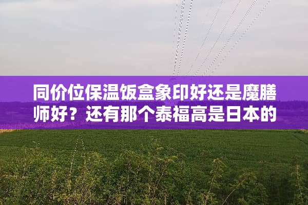 同价位保温饭盒象印好还是魔膳师好？还有那个泰福高是日本的吗。求高手解答？