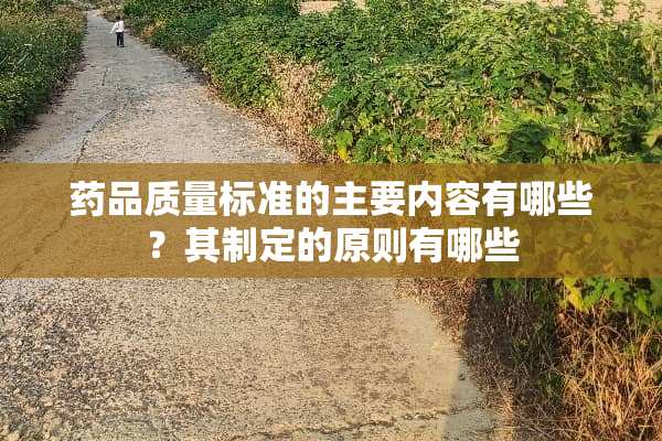 药品质量标准的主要内容有哪些？其制定的原则有哪些