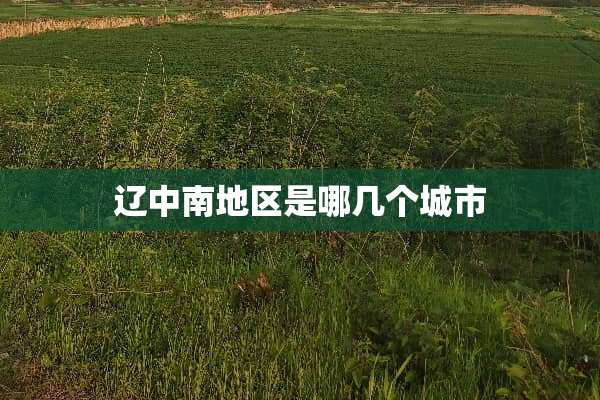 辽中南地区是哪几个城市