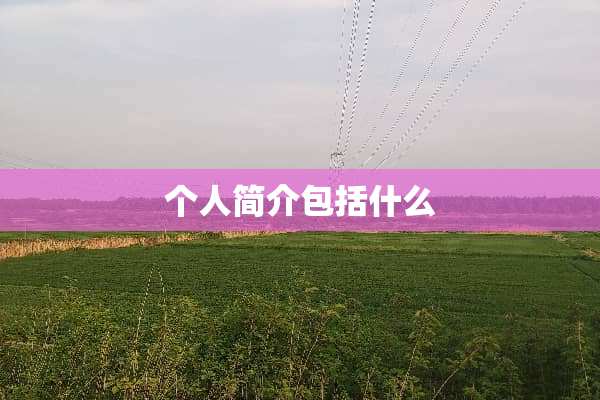 个人简介包括什么