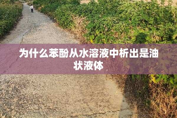 为什么苯酚从水溶液中析出是油状液体