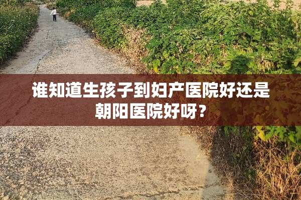 谁知道生孩子到妇产医院好还是朝阳医院好呀？