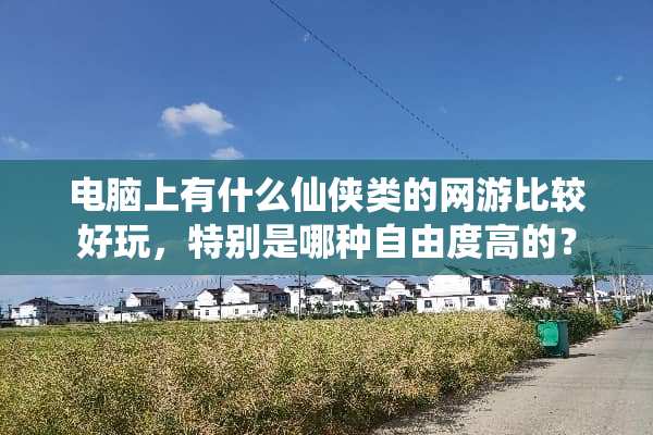 电脑上有什么仙侠类的网游比较好玩，特别是哪种自由度高的？