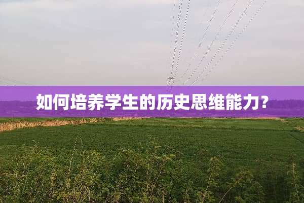如何培养学生的历史思维能力？