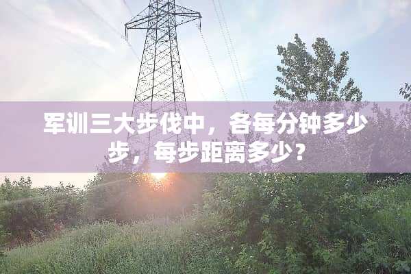 军训三大步伐中，各每分钟多少步，每步距离多少？