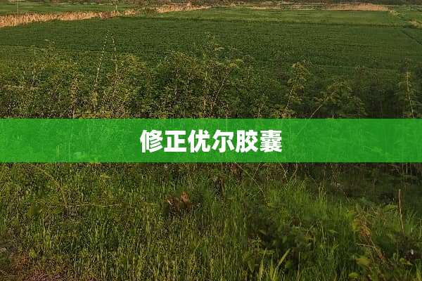 修正优尔胶囊