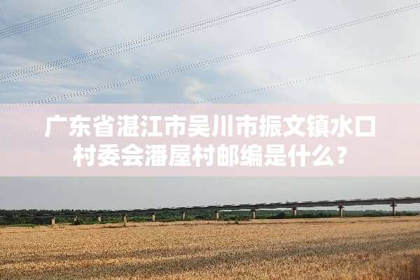 广东省湛江市吴川市振文镇水口村委会潘屋村邮编是什么？