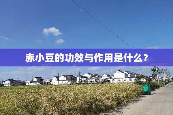 赤小豆的功效与作用是什么？