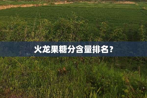 火龙果糖分含量排名？