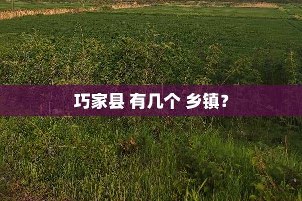 巧家县 有几个 乡镇？
