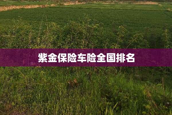 紫金保险车险全国排名