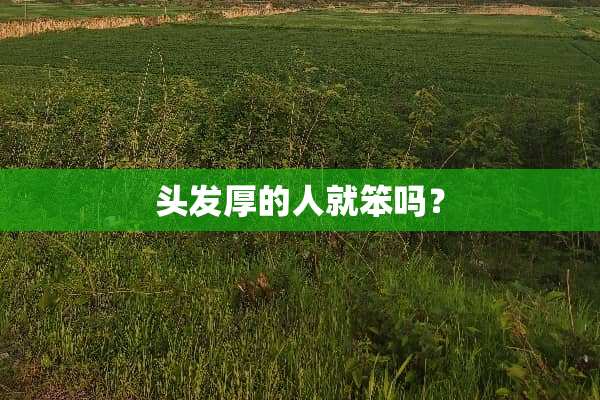 头发厚的人就笨吗？