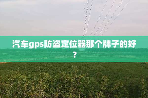 汽车gps防盗***那个牌子的好？