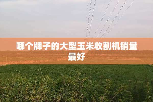 哪个牌子的大型玉米收割机销量最好