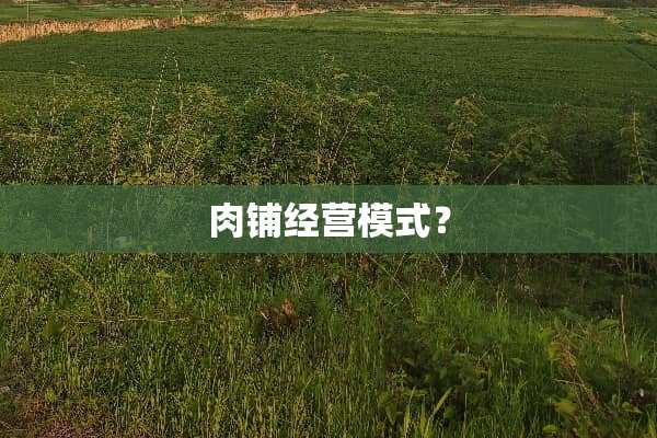 肉铺经营模式？