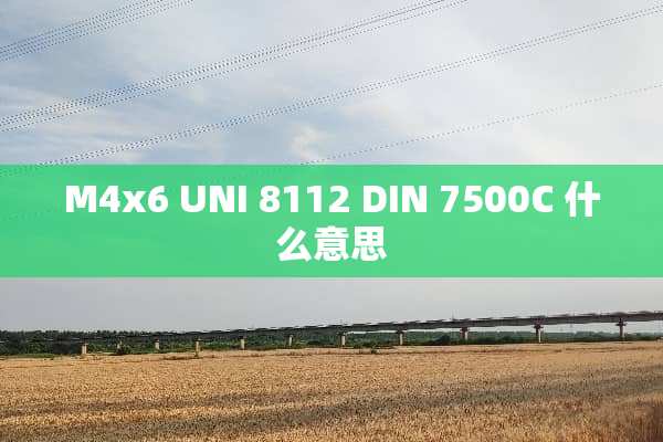 M4x6 UNI 8112 DIN 7500C 什么意思