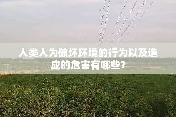 人类人为破坏环境的行为以及造成的危害有哪些？