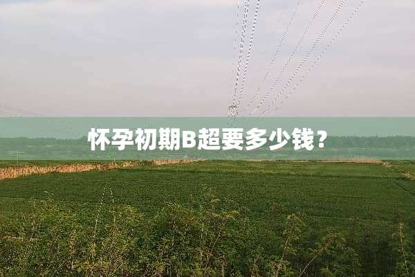 怀孕初期B超要多少钱？