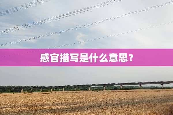 感官描写是什么意思？
