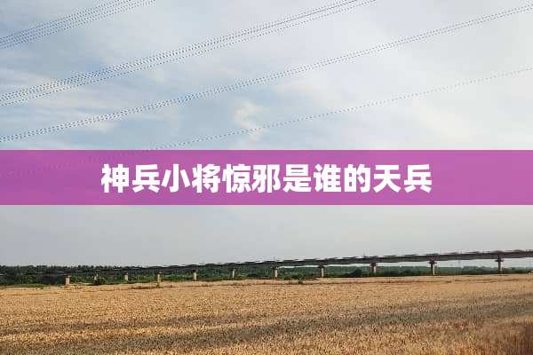 神兵小将惊邪是谁的天兵