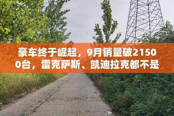 豪车终于崛起，9月销量破21500台，雷克萨斯、凯迪拉克都不是对手